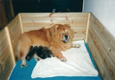 SCAN0001 (2)