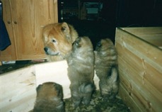 scan0004